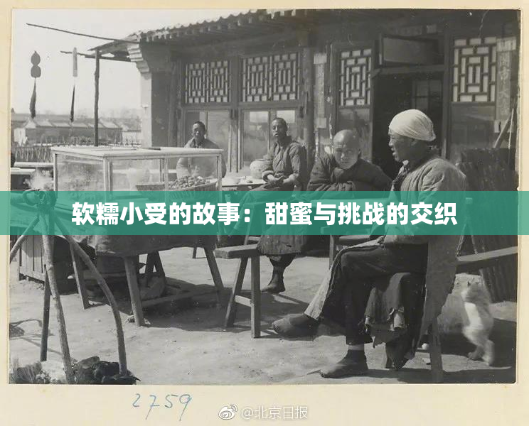 软糯小受的故事：甜蜜与挑战的交织