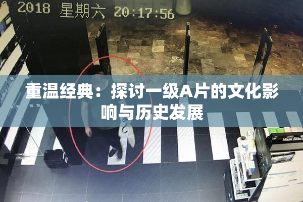 重温经典：探讨一级A片的文化影响与历史发展
