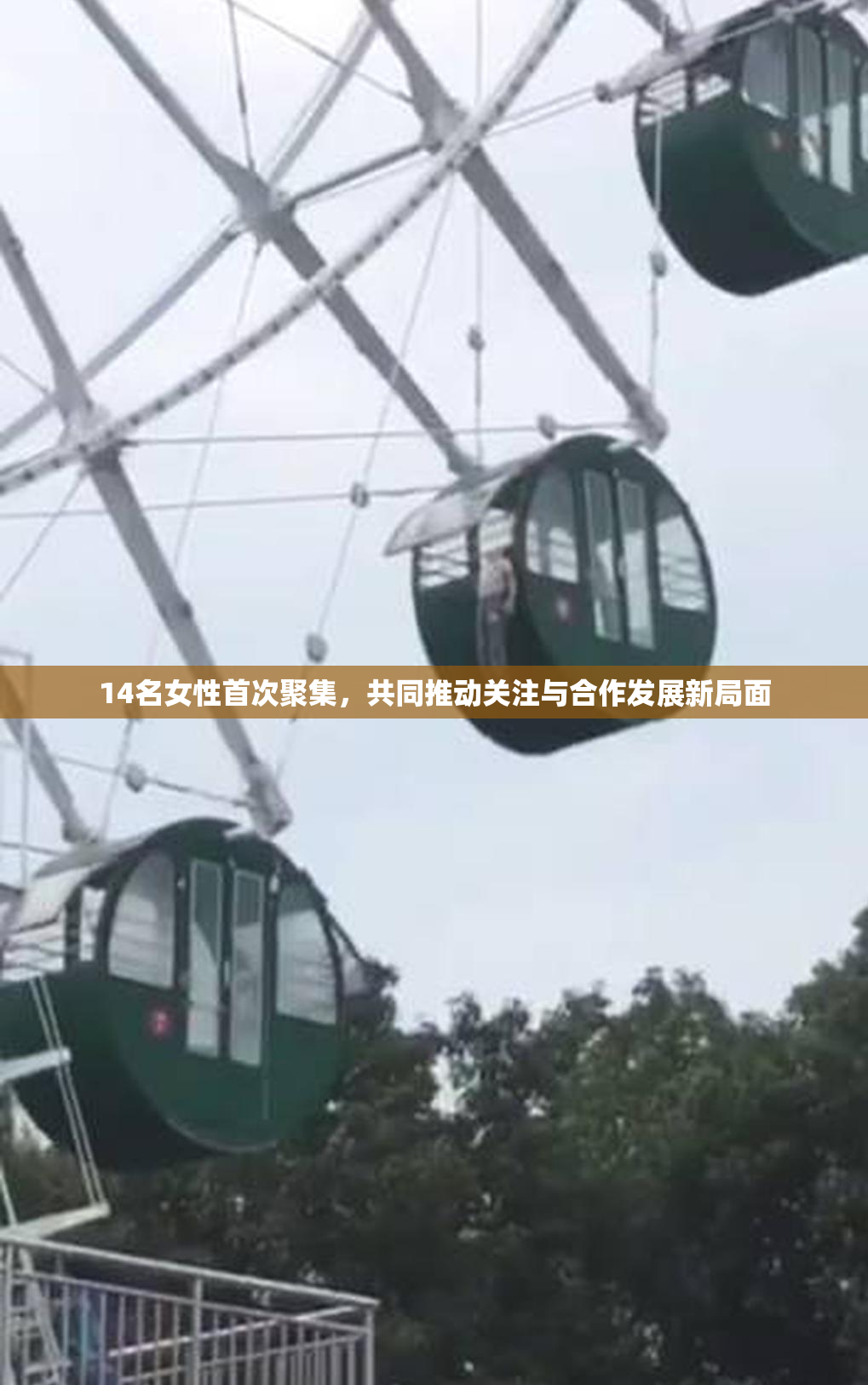 14名女性首次聚集，共同推动关注与合作发展新局面