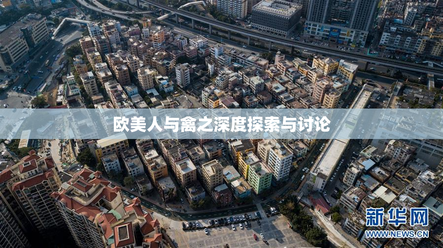欧美人与禽之深度探索与讨论