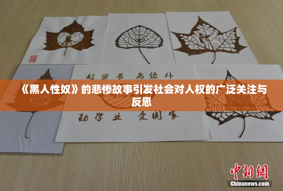 《黑人性奴》的悲惨故事引发社会对人权的广泛关注与反思