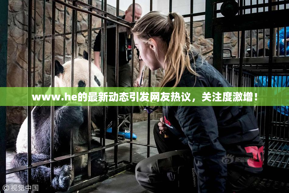 www.he的最新动态引发网友热议，关注度激增！