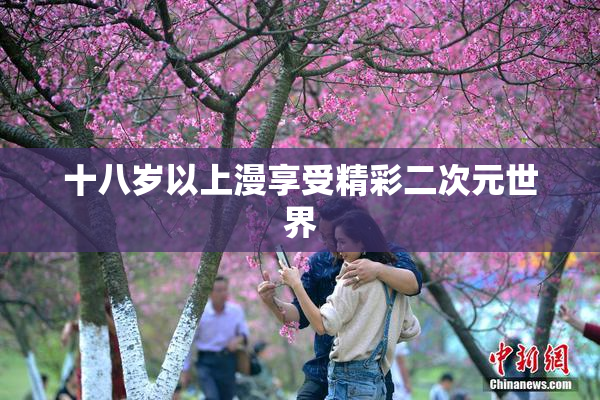十八岁以上漫享受精彩二次元世界