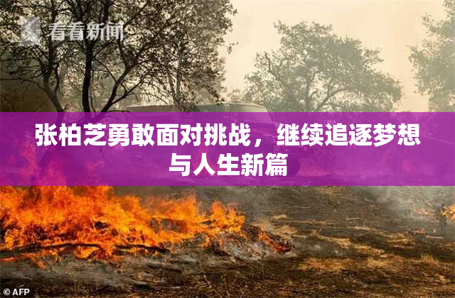 张柏芝勇敢面对挑战，继续追逐梦想与人生新篇