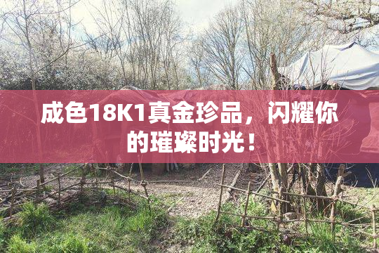 成色18K1真金珍品，闪耀你的璀璨时光！