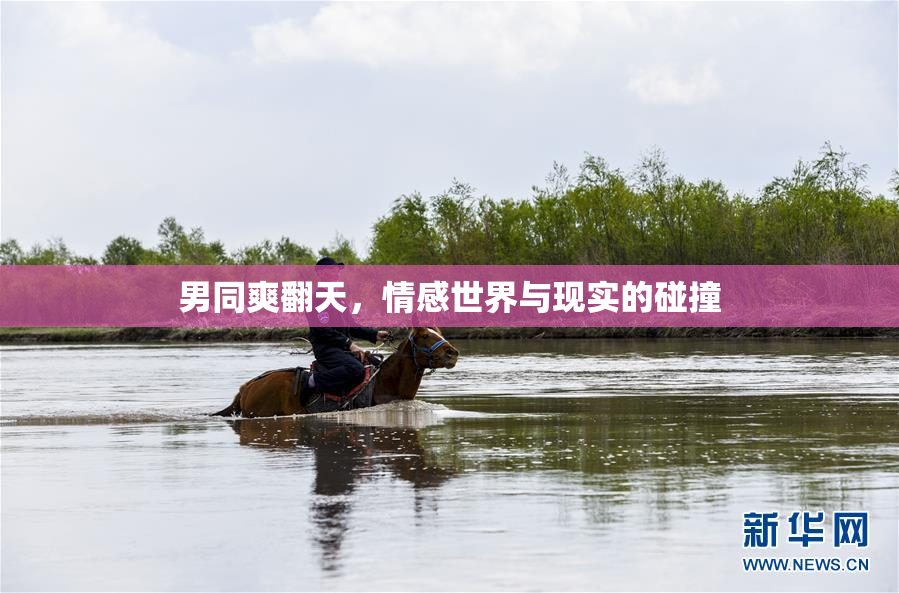男同爽翻天，情感世界与现实的碰撞