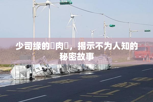 少司缘的婬肉泬，揭示不为人知的秘密故事