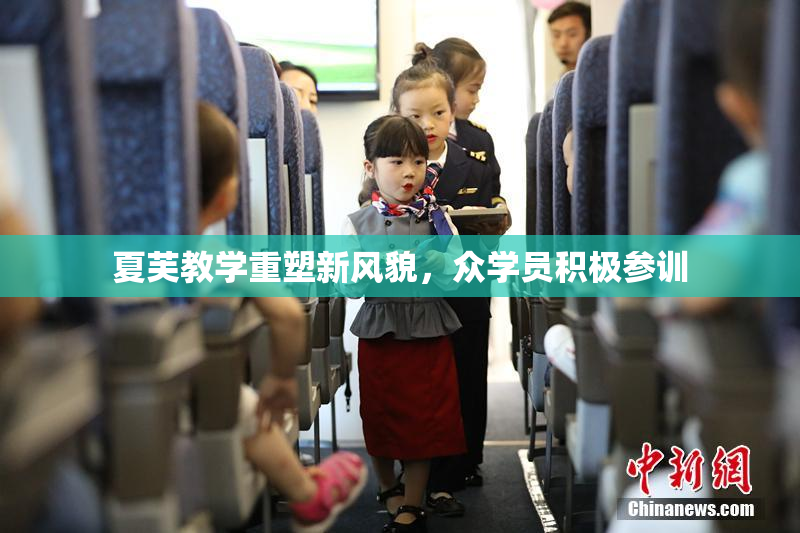 夏芙教学重塑新风貌，众学员积极参训