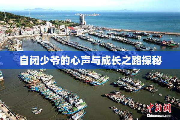 自闭少爷的心声与成长之路探秘