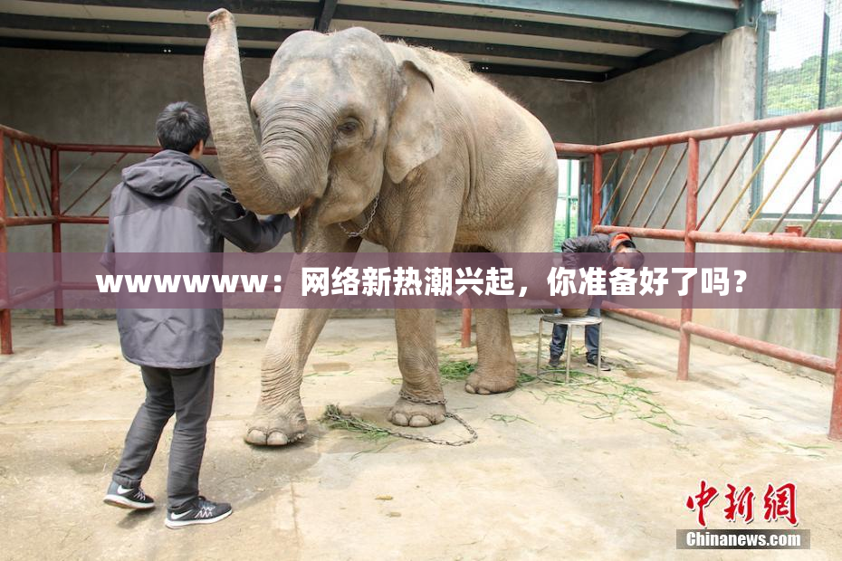 wwwwww：网络新热潮兴起，你准备好了吗？