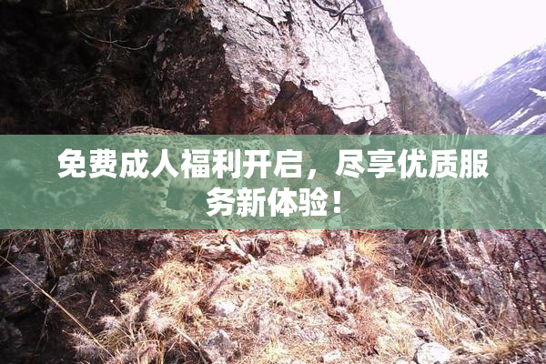 免费成人福利开启，尽享优质服务新体验！