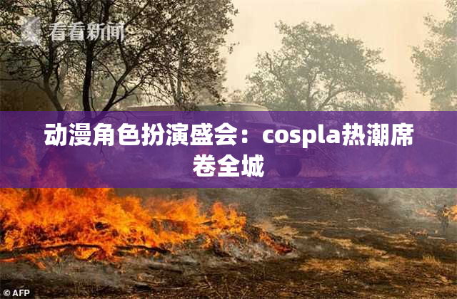 动漫角色扮演盛会：cospla热潮席卷全城