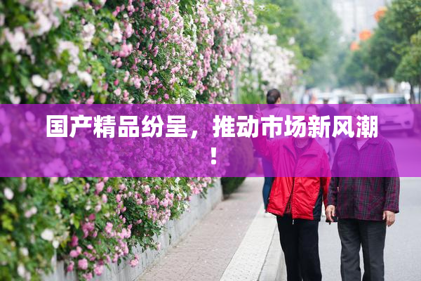 国产精品纷呈，推动市场新风潮！