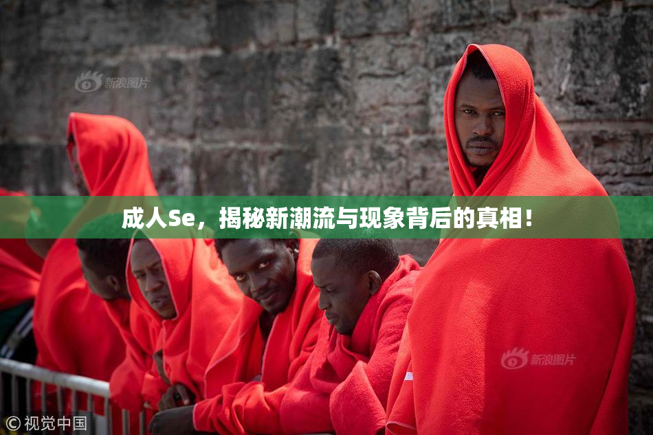 成人Se，揭秘新潮流与现象背后的真相！