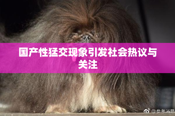 国产性猛交现象引发社会热议与关注