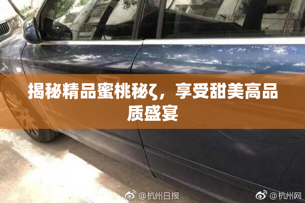揭秘精品蜜桃秘ζ，享受甜美高品质盛宴