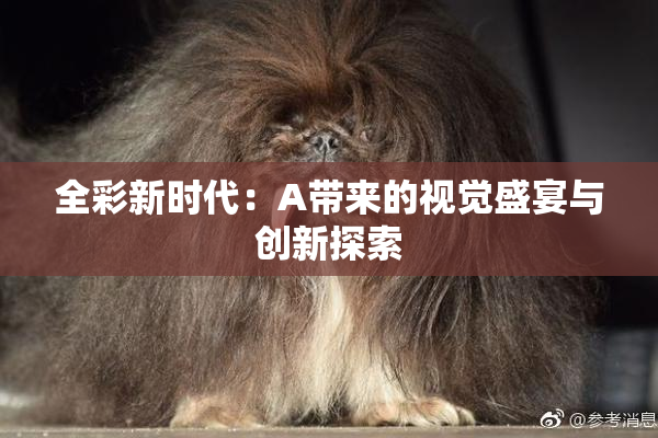 全彩新时代：A带来的视觉盛宴与创新探索