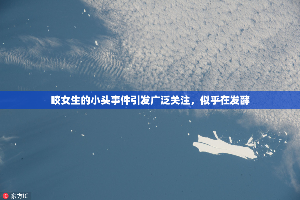 咬女生的小头事件引发广泛关注，似乎在发酵