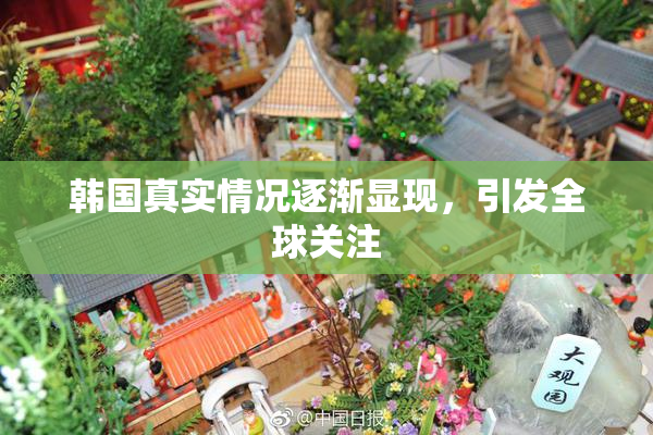 韩国真实情况逐渐显现，引发全球关注