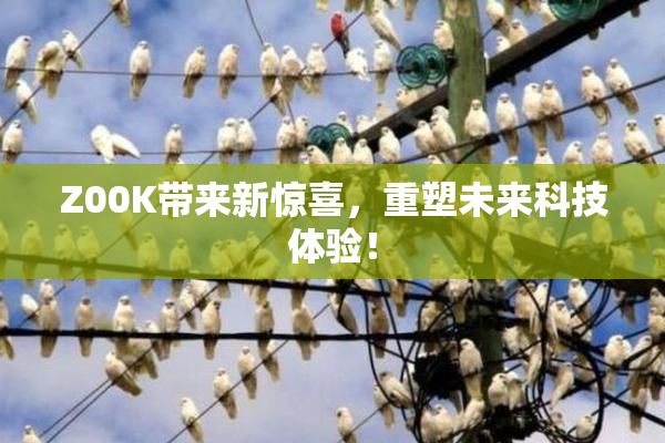 Z00K带来新惊喜，重塑未来科技体验！