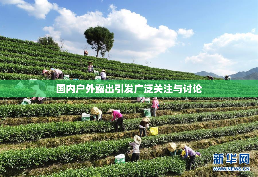 国内户外露出引发广泛关注与讨论