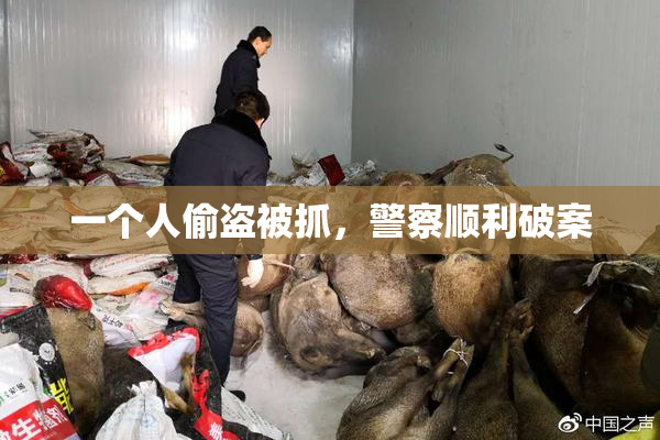 一个人偷盗被抓，警察顺利破案