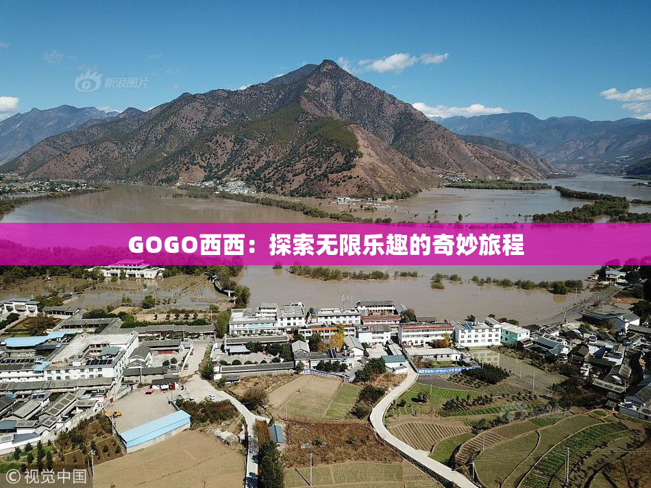 GOGO西西：探索无限乐趣的奇妙旅程