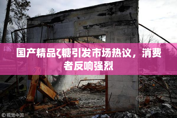 国产精品ζ糖引发市场热议，消费者反响强烈