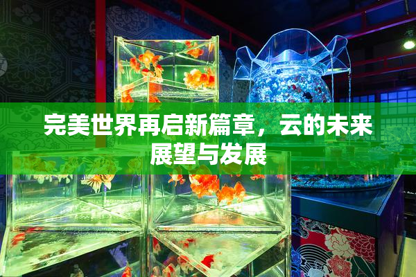 完美世界再启新篇章，云的未来展望与发展