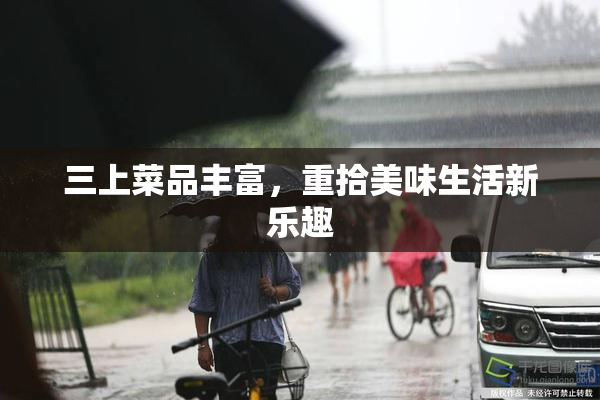 三上菜品丰富，重拾美味生活新乐趣