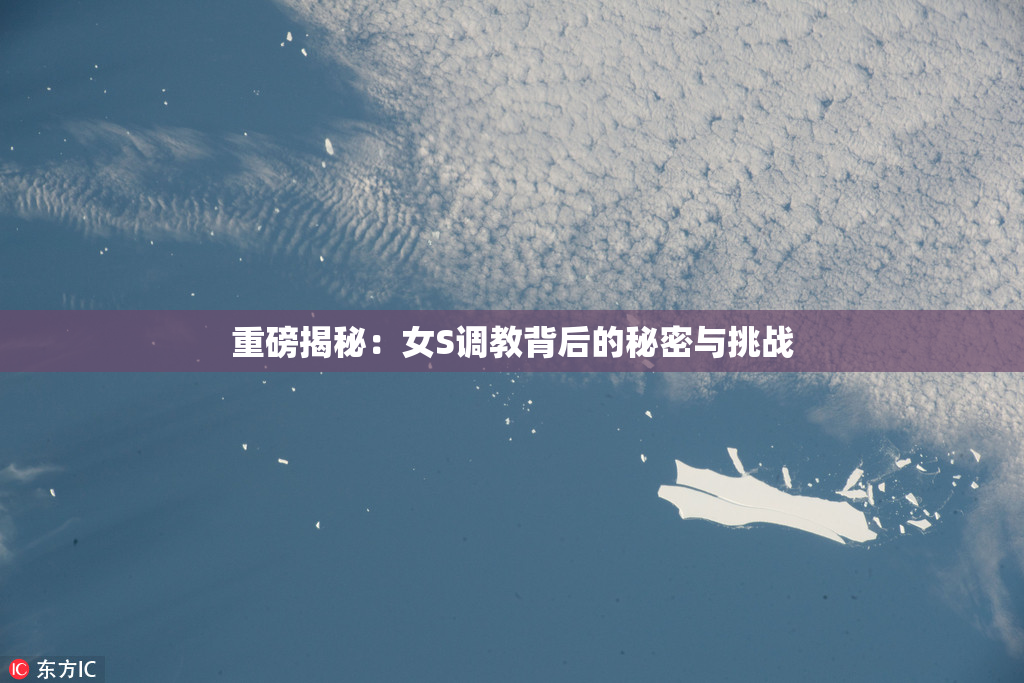 重磅揭秘：女S调教背后的秘密与挑战