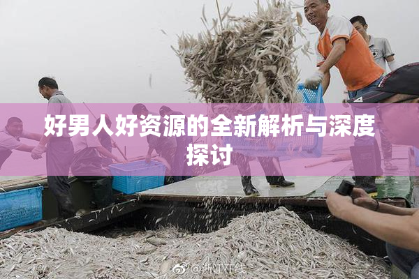 好男人好资源的全新解析与深度探讨