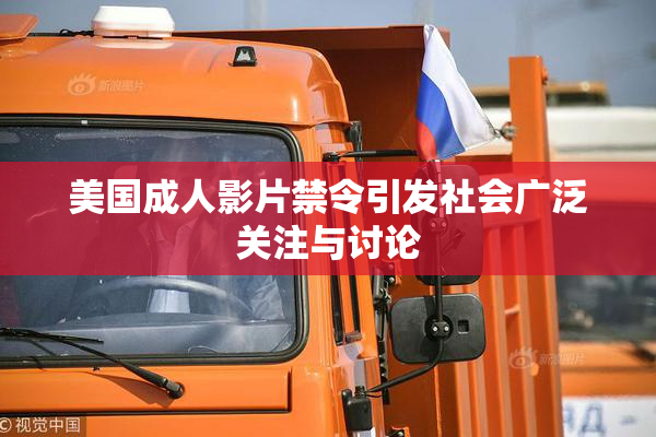 美国成人影片禁令引发社会广泛关注与讨论