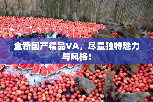 全新国产精品VA，尽显独特魅力与风格！
