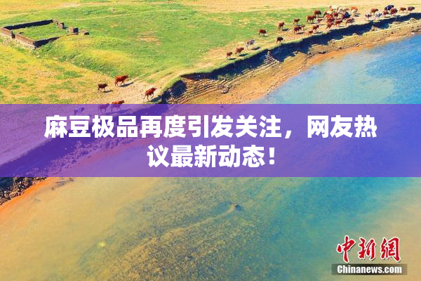 麻豆极品再度引发关注，网友热议最新动态！