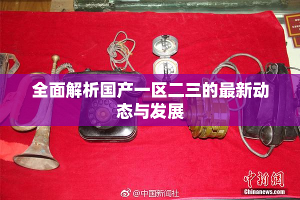 全面解析国产一区二三的最新动态与发展