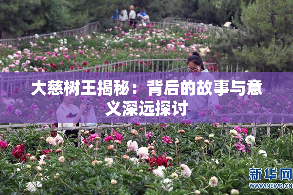 大慈树王揭秘：背后的故事与意义深远探讨