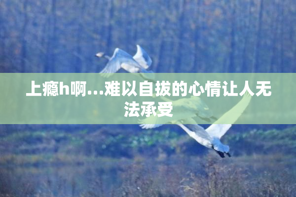 上瘾h啊…难以自拔的心情让人无法承受