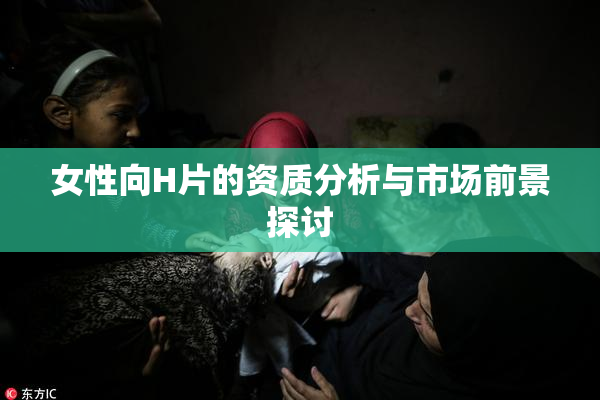 女性向H片的资质分析与市场前景探讨