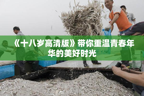 《十八岁高清版》带你重温青春年华的美好时光