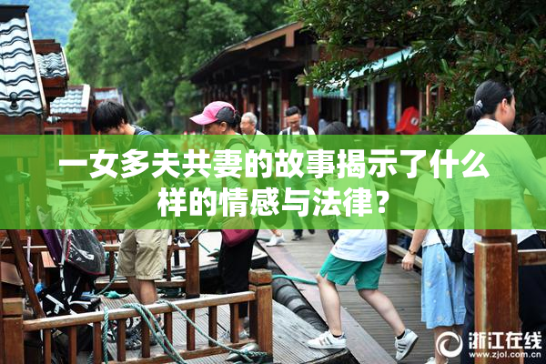 一女多夫共妻的故事揭示了什么样的情感与法律？