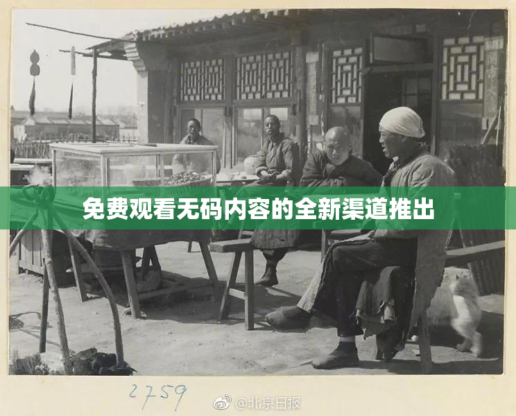 免费观看无码内容的全新渠道推出
