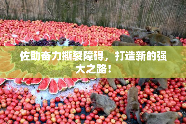 佐助奋力撕裂障碍，打造新的强大之路！