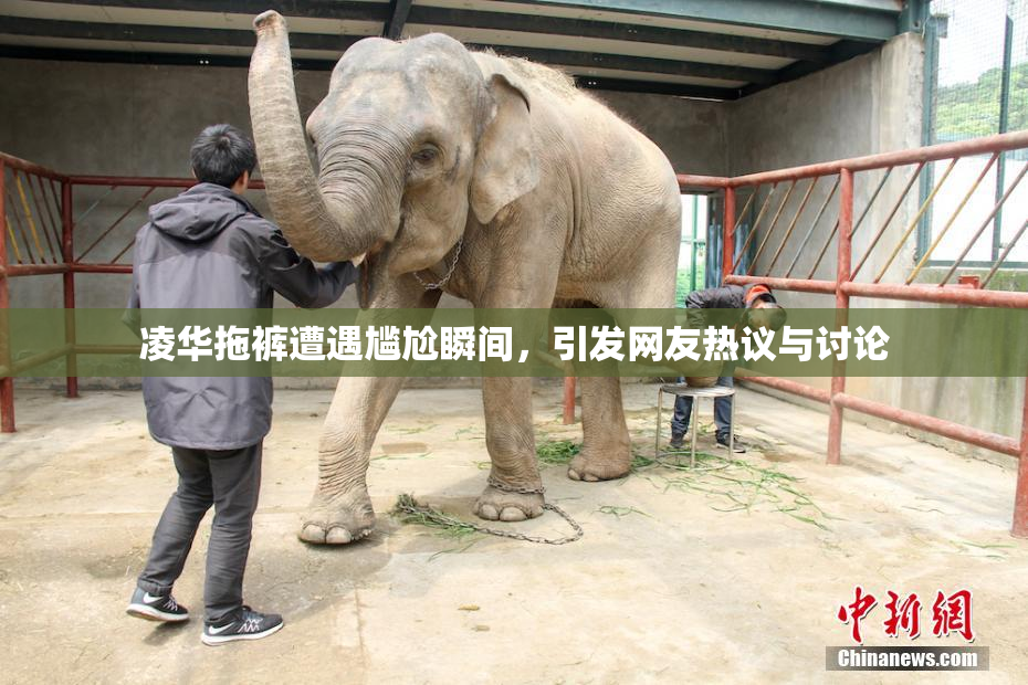 凌华拖裤遭遇尴尬瞬间，引发网友热议与讨论