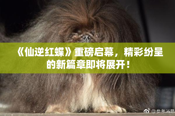 《仙逆红蝶》重磅启幕，精彩纷呈的新篇章即将展开！