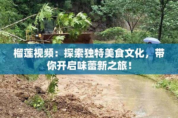 榴莲视频：探索独特美食文化，带你开启味蕾新之旅！