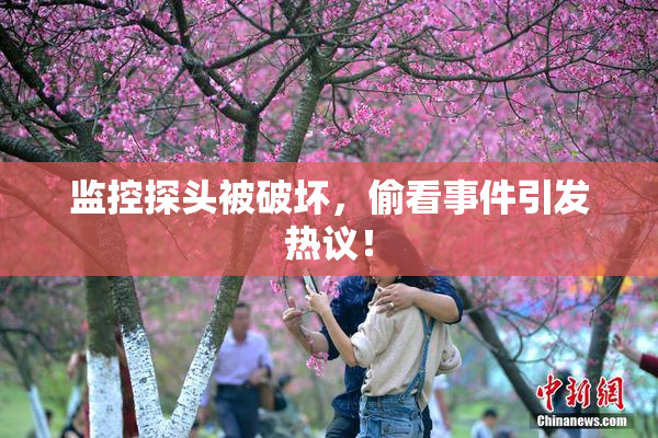 监控探头被破坏，偷看事件引发热议！
