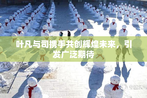 叶凡与司携手共创辉煌未来，引发广泛期待