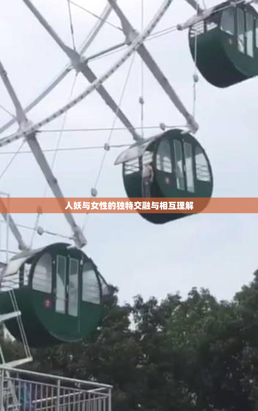 人妖与女性的独特交融与相互理解