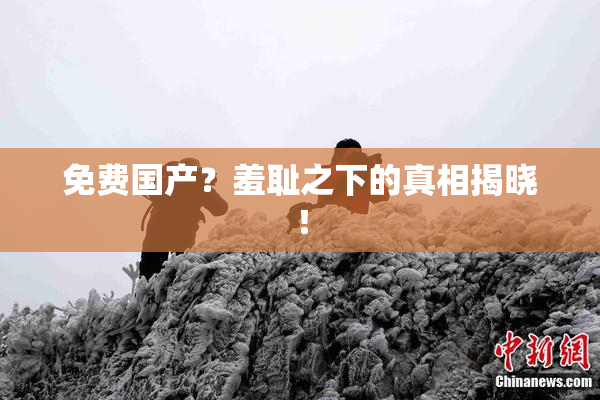 免费国产？羞耻之下的真相揭晓！